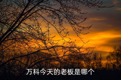 萬科今天的老板是哪個(gè)