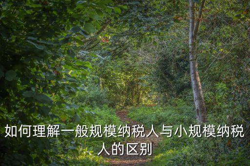 如何理解一般規(guī)模納稅人與小規(guī)模納稅人的區(qū)別