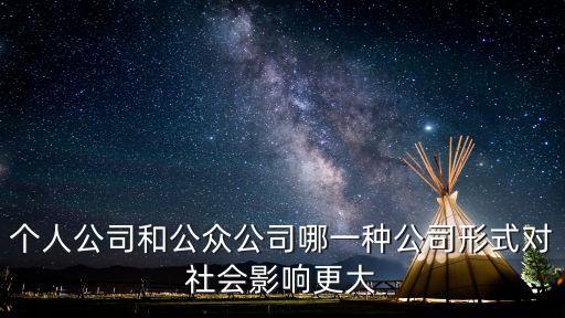 公眾公司，個人公司和公眾公司哪一種公司形式對社會影響更大