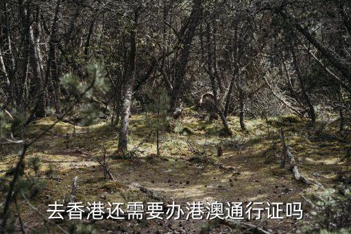 去香港還需要辦港澳通行證嗎