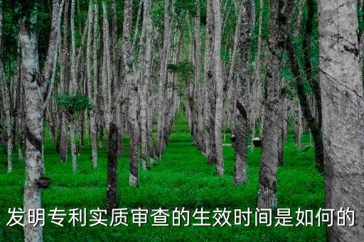 實(shí)質(zhì)審查的生效，實(shí)質(zhì)審查的生效是什么意思