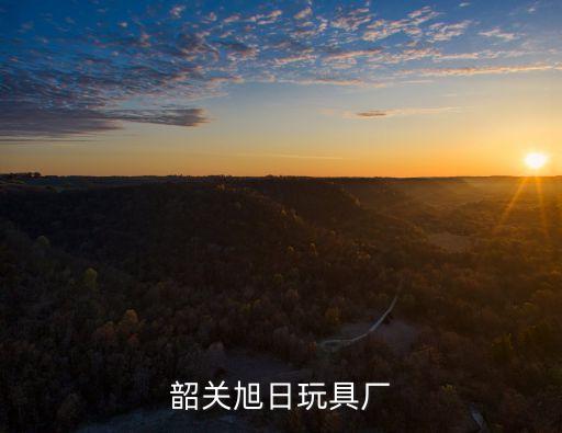 韶關(guān)旭日玩具廠