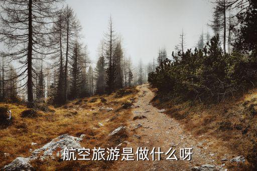 航空旅行，航空旅行應(yīng)該注意什么的英語作文70字