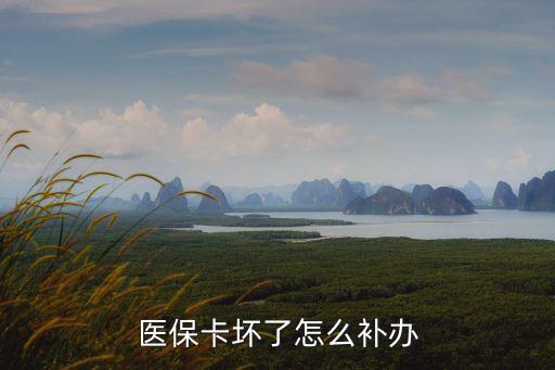 醫(yī)?？▔牧嗽趺囱a(bǔ)辦