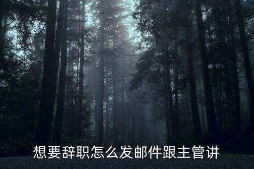 想要辭職怎么發(fā)郵件跟主管講