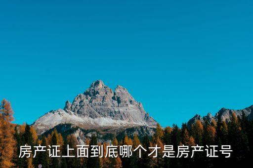 房產(chǎn)證上面到底哪個(gè)才是房產(chǎn)證號(hào)