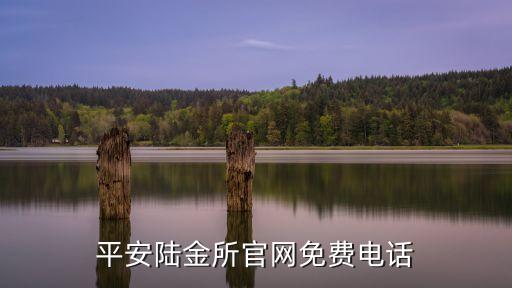 平安陸金所官網(wǎng)免費電話