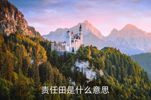 責任田，責任田是什么意思