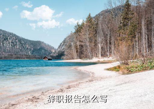 辭職報(bào)告怎么寫