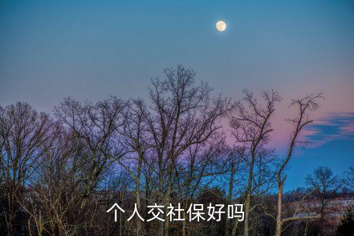 個人交社保好嗎