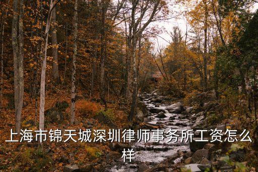 上海錦天城，坐標上海在錦天城律師事務所實習是一種怎樣的體驗