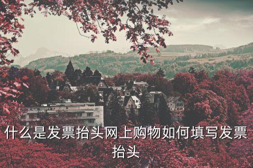 什么是發(fā)票抬頭網(wǎng)上購物如何填寫發(fā)票抬頭
