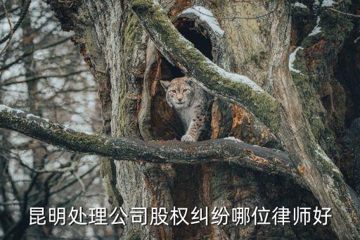 合同糾紛律師，哪家合同糾紛律師好
