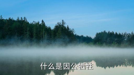 因公犧牲，什么是因公犧牲