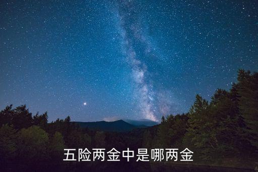 五險兩金中是哪兩金