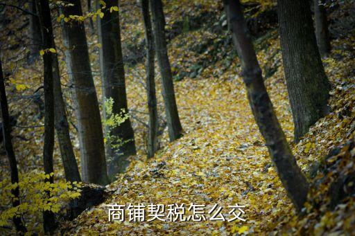 商鋪契稅，請問購買商鋪要交多少契稅房開商辦理大產(chǎn)權(quán)證時交一次業(yè)主辦