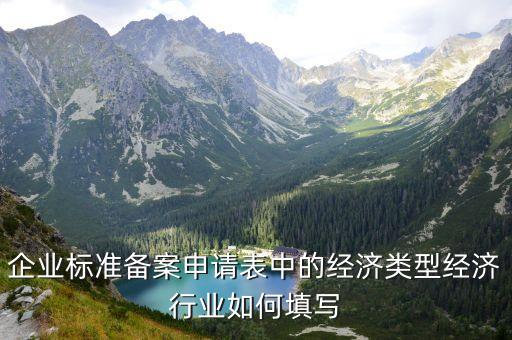 經(jīng)濟類型怎么填，經(jīng)濟類型怎么填