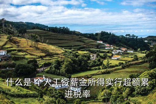 什么是 個人工資薪金所得實行超額累進稅率