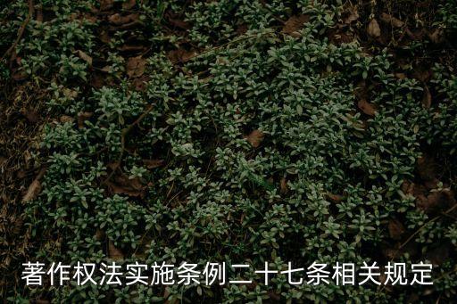 著作權(quán)法實(shí)施條例二十七條相關(guān)規(guī)定