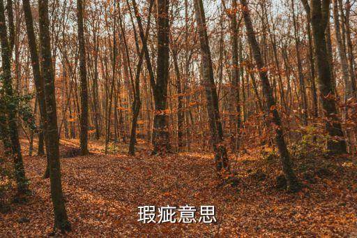 瑕疵是什么意思，瑕疵是什么