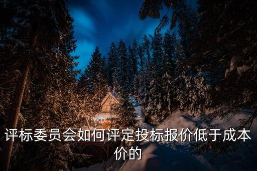 評標委員會和評標方法暫行規(guī)定，評標委員會和評標方法暫行規(guī)定的介紹