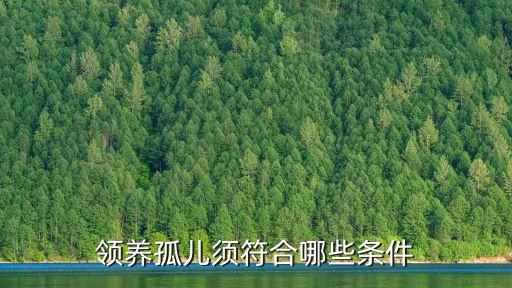 領(lǐng)養(yǎng)孤兒須符合哪些條件