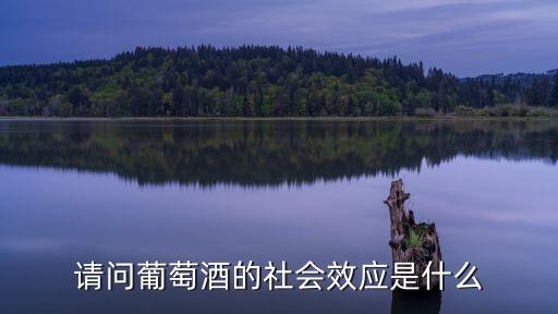 請問葡萄酒的社會效應(yīng)是什么
