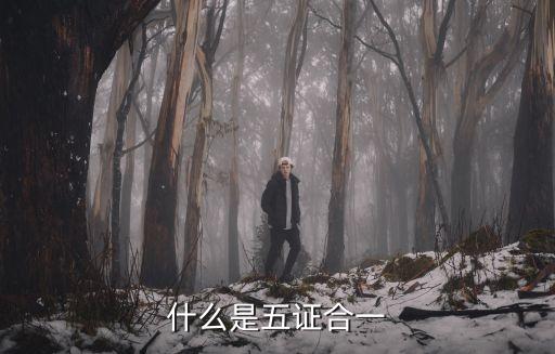 五證合一，什么是五證合一