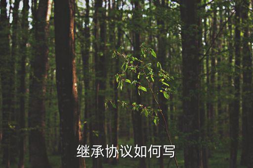 繼承協(xié)議書怎么寫，繼承協(xié)議如何寫