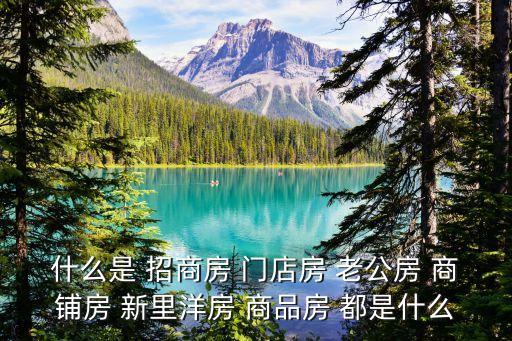 老公房，什么是 招商房 門店房 老公房 商鋪房 新里洋房 商品房 都是什么