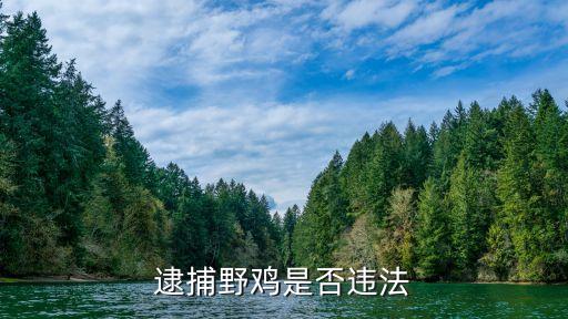 抓野雞犯法嗎，逮捕野雞是否違法