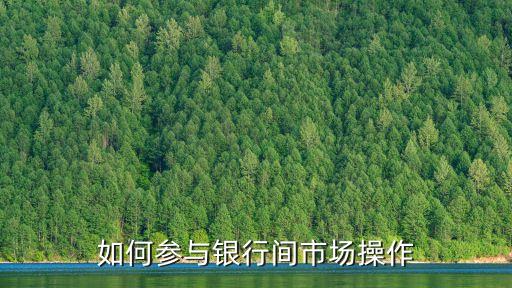 如何參與銀行間市場操作