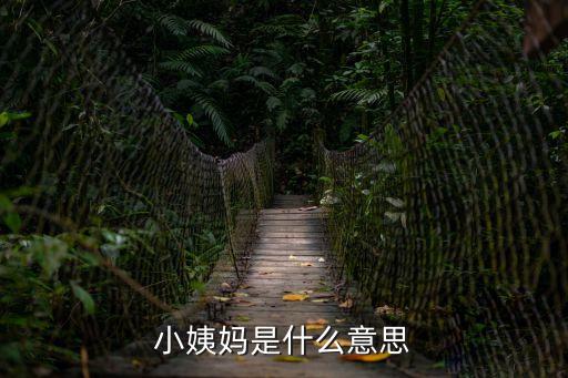 小姨孑，小姨媽是什么意思