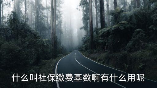 社保繳費基數(shù)什么意思，什么叫社保繳費基數(shù)啊有什么用呢