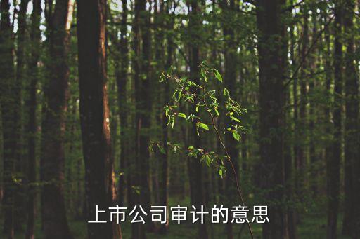 上市公司審計的意思