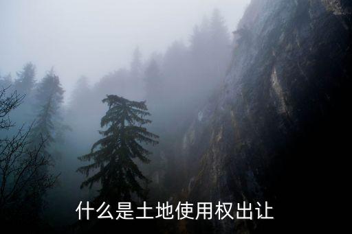 土地使用權(quán)出讓，什么是土地使用權(quán)出讓