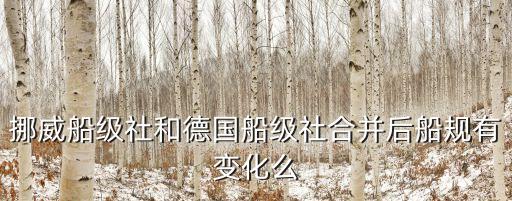 挪威船級社和德國船級社合并后船規(guī)有變化么