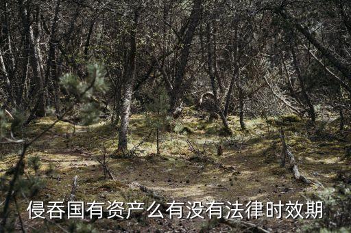 侵吞國(guó)有資產(chǎn)，利用職務(wù)非法侵占國(guó)有資產(chǎn)如何量刑