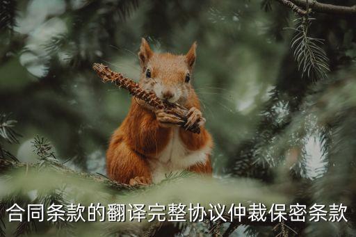 合同條款的翻譯完整協(xié)議仲裁保密條款