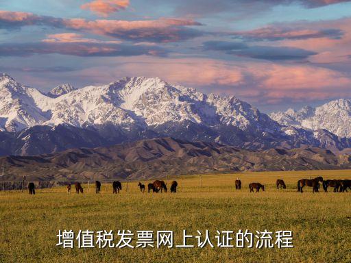 增值稅發(fā)票網(wǎng)上認(rèn)證的流程