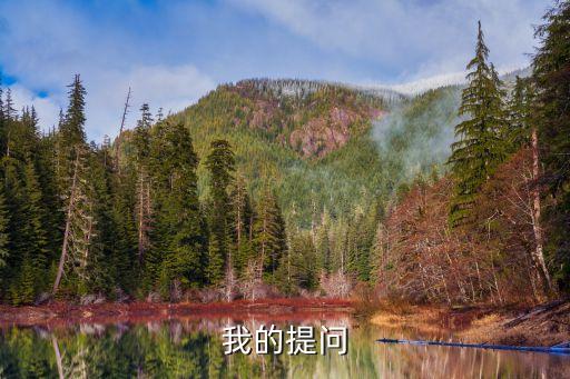 我的提問