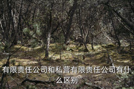 有限責(zé)任公司和私營有限責(zé)任公司有什么區(qū)別