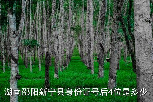 湖南邵陽新寧縣身份證號后4位是多少