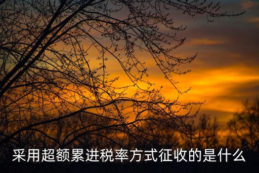 采用超額累進稅率方式征收的是什么