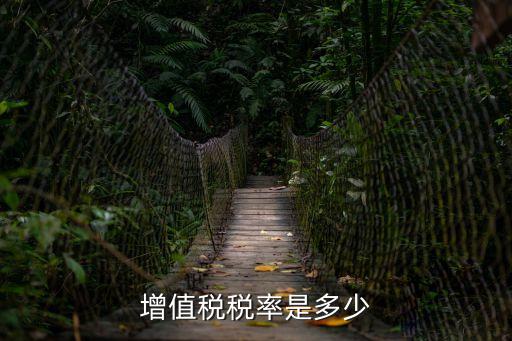 增值稅稅率是多少