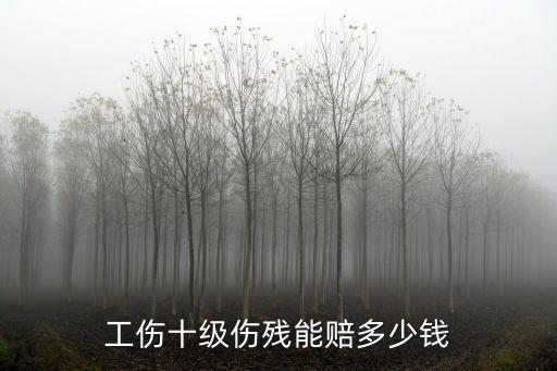 工傷十級傷殘能賠多少錢