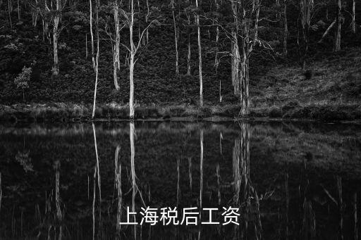 上海稅后工資，上海稅后工資