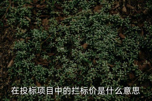 攔標(biāo)價，在投標(biāo)項目中的攔標(biāo)價是什么意思