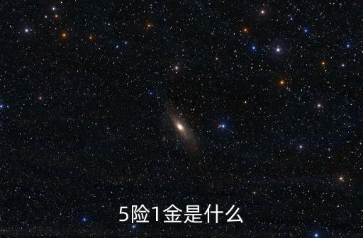 5險一金，5險1金都指甚么