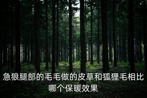 急狼腿部的毛毛做的皮草和狐貍毛相比哪個保暖效果